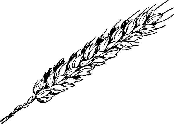 Wheat Clipart Black and White