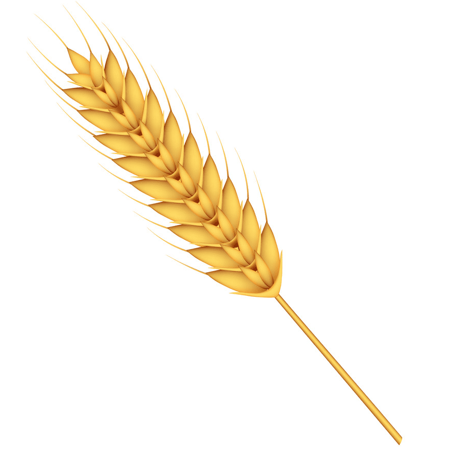 Wheat Clipart Free Download