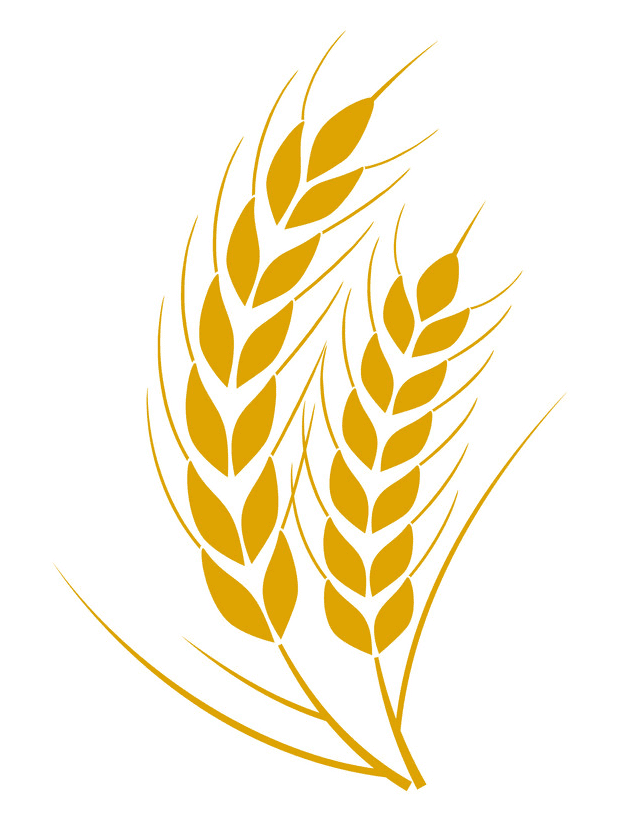 Wheat Clipart Free Images