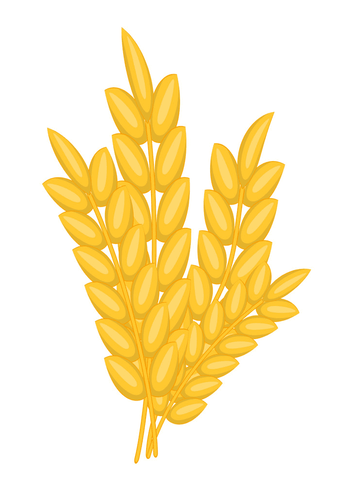 Wheat Clipart Free Pictures
