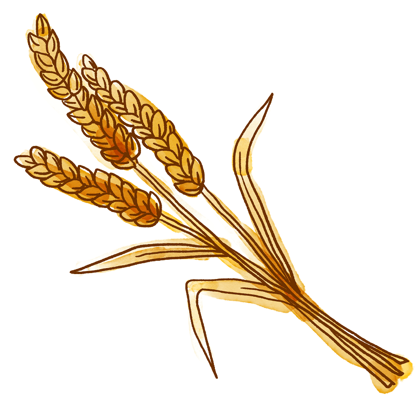 Wheat Clipart Free Png Image