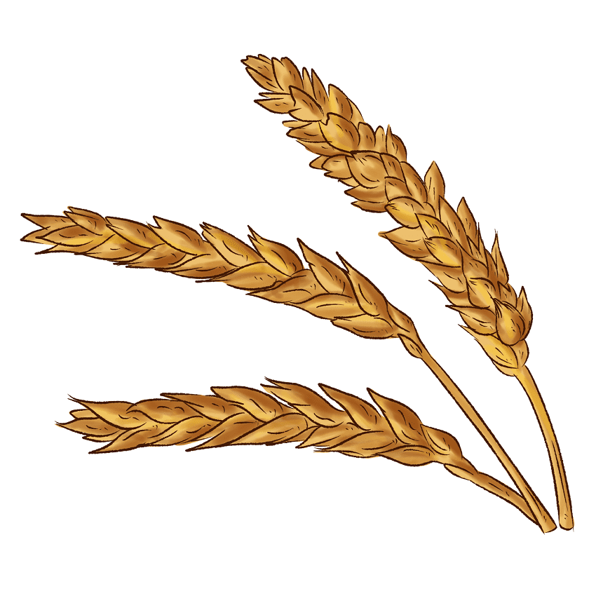 Wheat Clipart Free Png Images