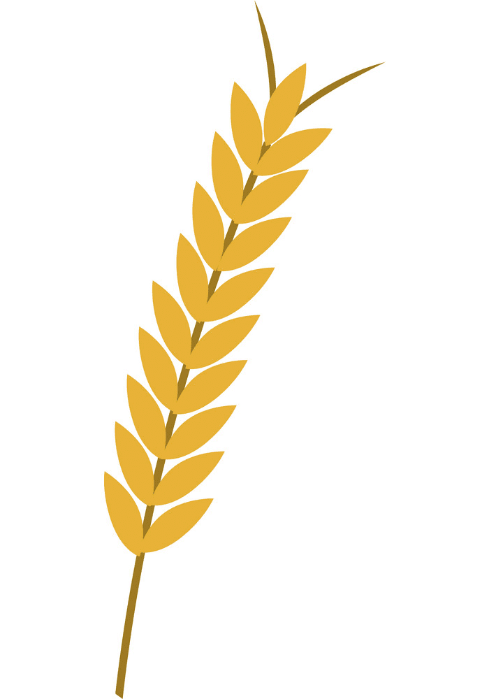 Wheat Clipart Png For Free