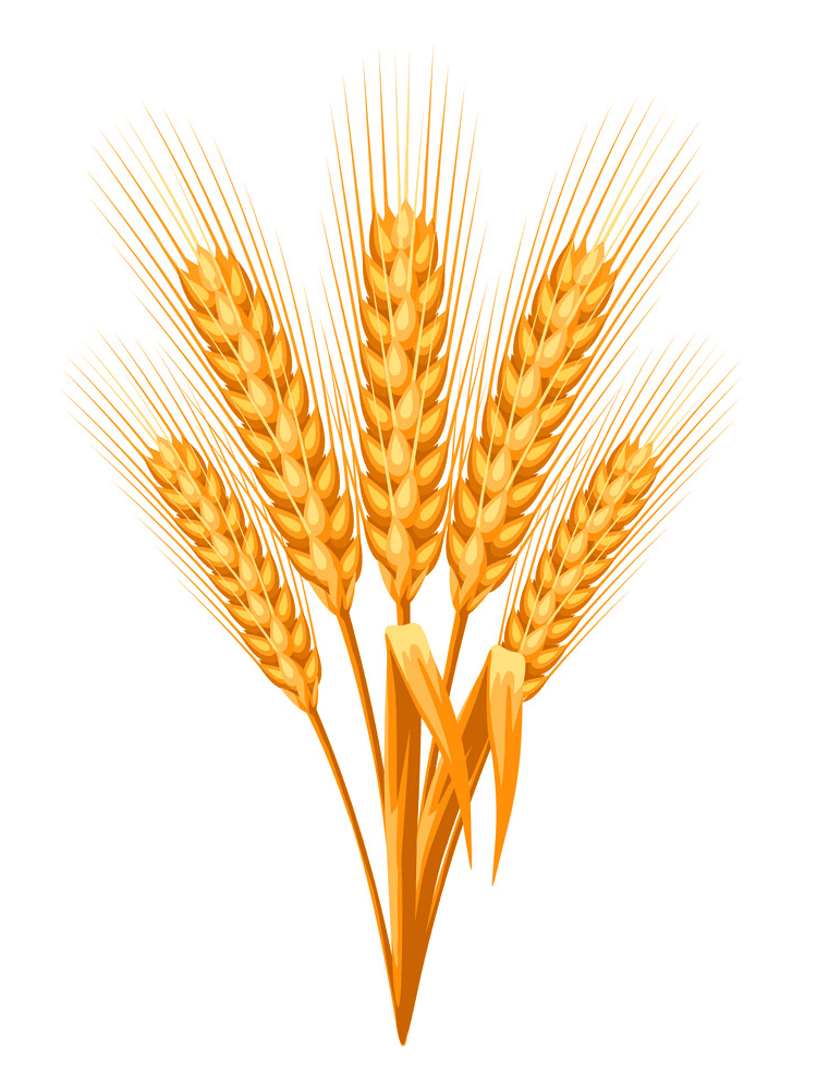 Wheat Clipart Png Free