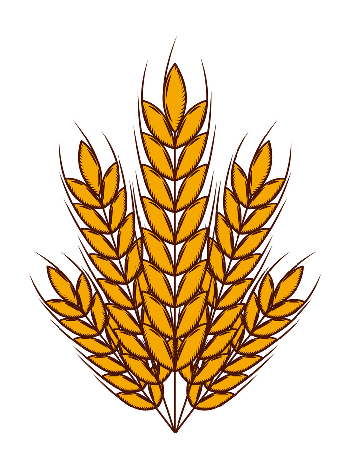 Wheat Clipart Png Image