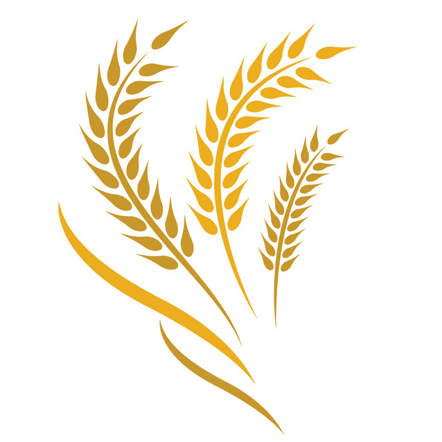 Wheat Clipart Png Picture