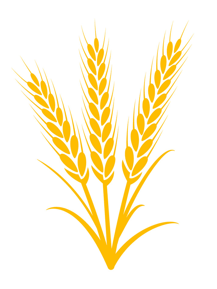Wheat Clipart Png Pictures