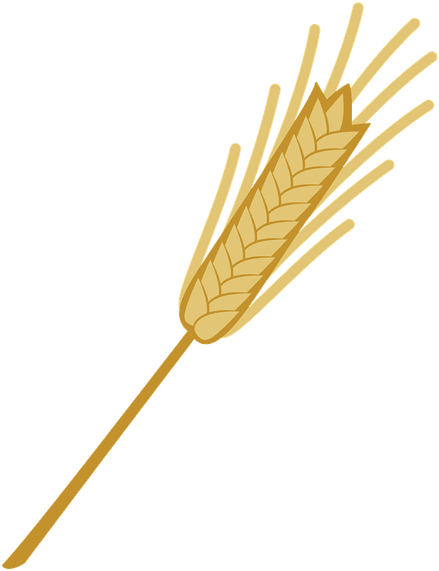 Wheat Transparent Clipart For Free