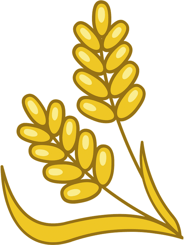 Wheat Transparent Clipart Free