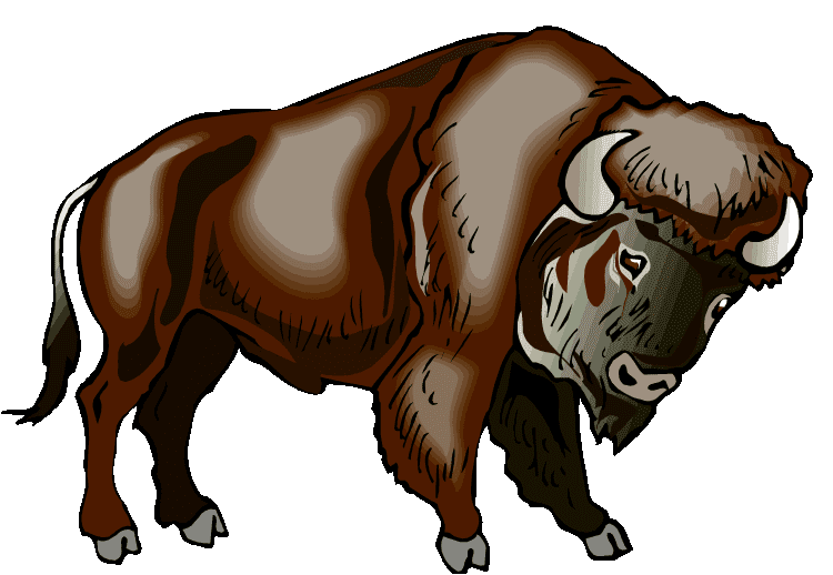 Bison Clipart For Free