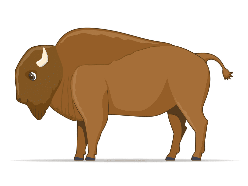 Bison Clipart Free Download