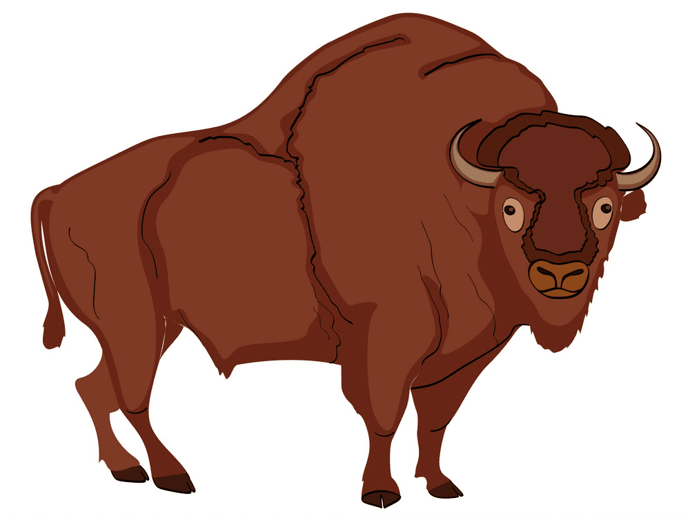 Bison Clipart Free Image