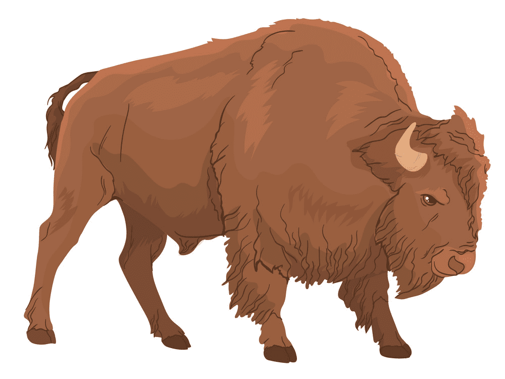 Bison Clipart Free Picture