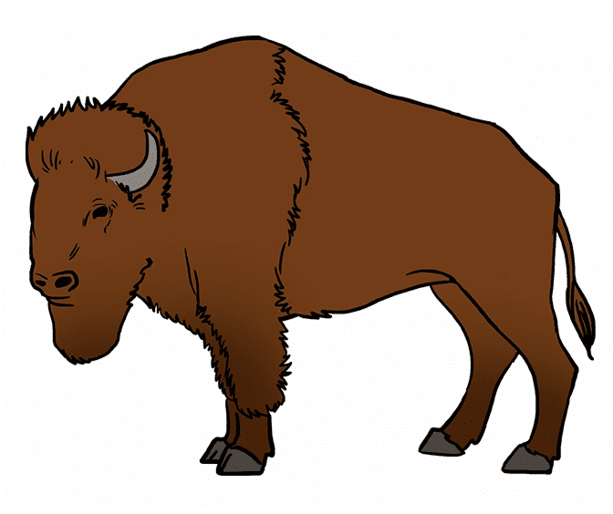Bison Clipart Free Png Images