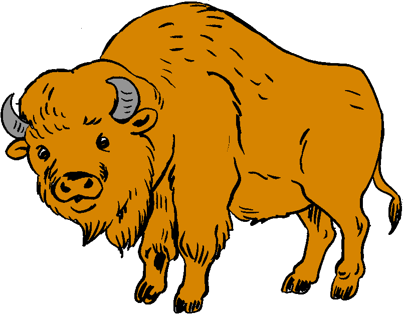 Bison Clipart Free