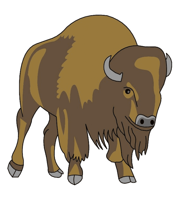 Bison Clipart Pictures