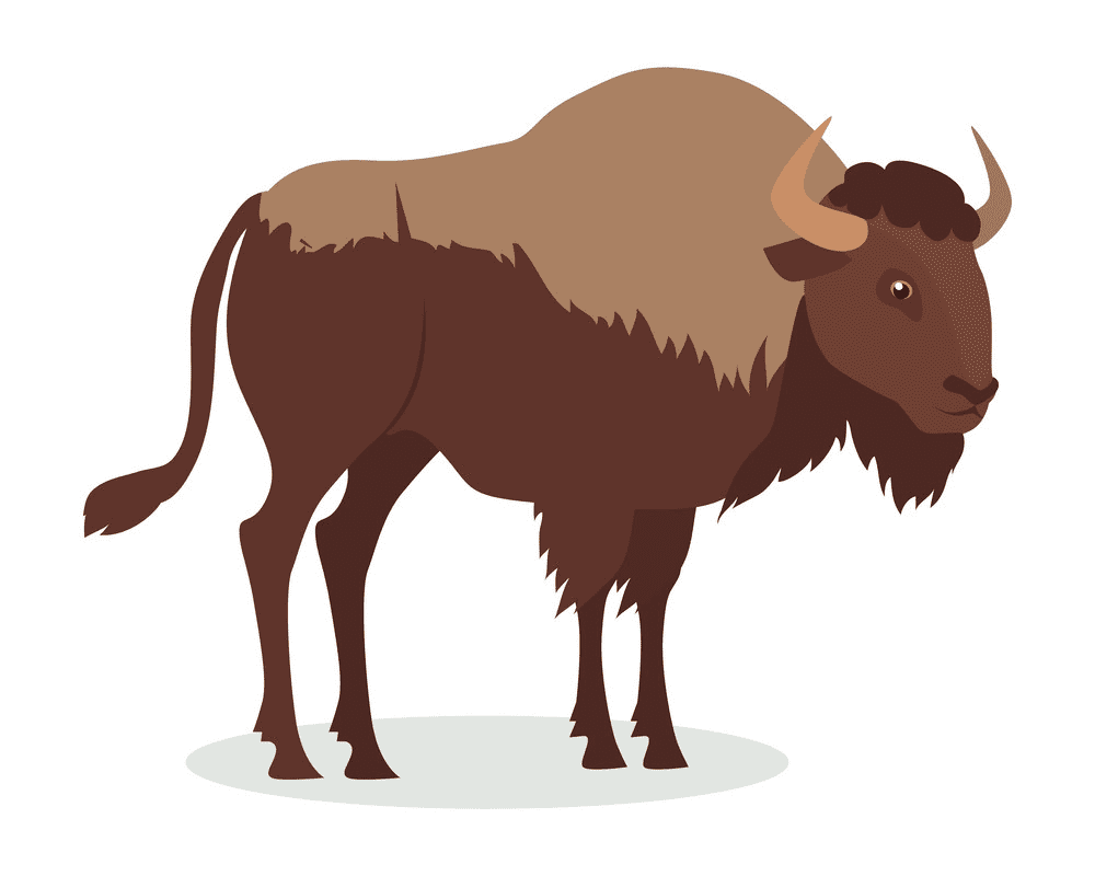 Bison Clipart Png Images