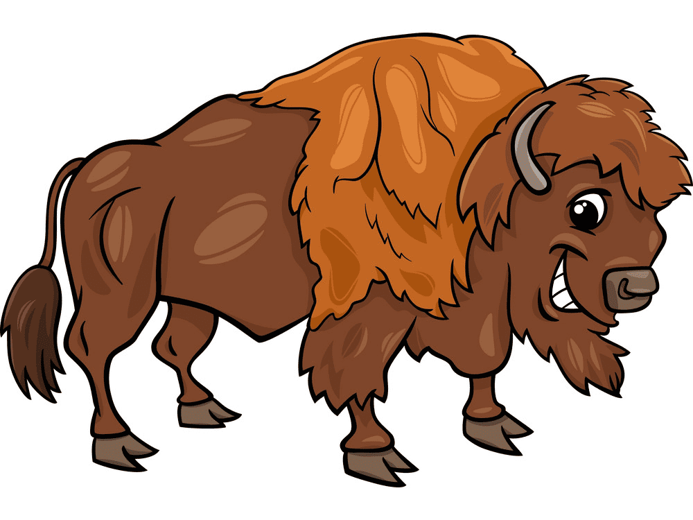 Bison Clipart Png Pictures