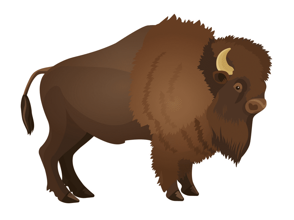 Bison Free Clipart