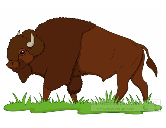Bison Png Clipart