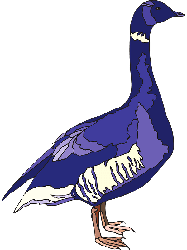 Blue Goose Clipart Transparent