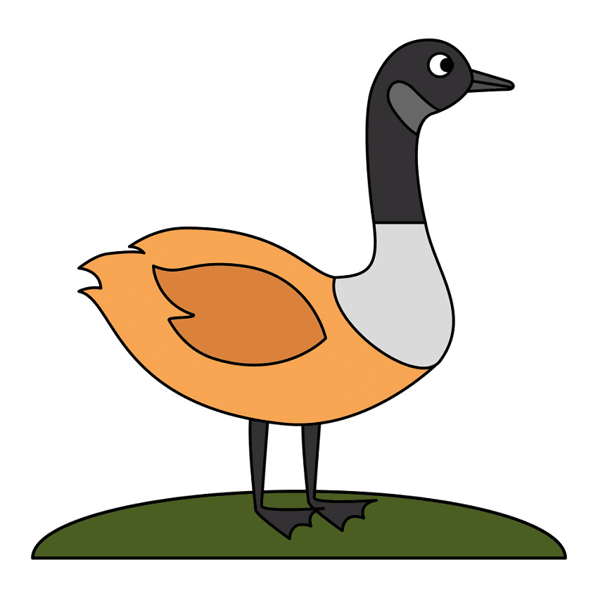 Canada Goose Clipart Pictures