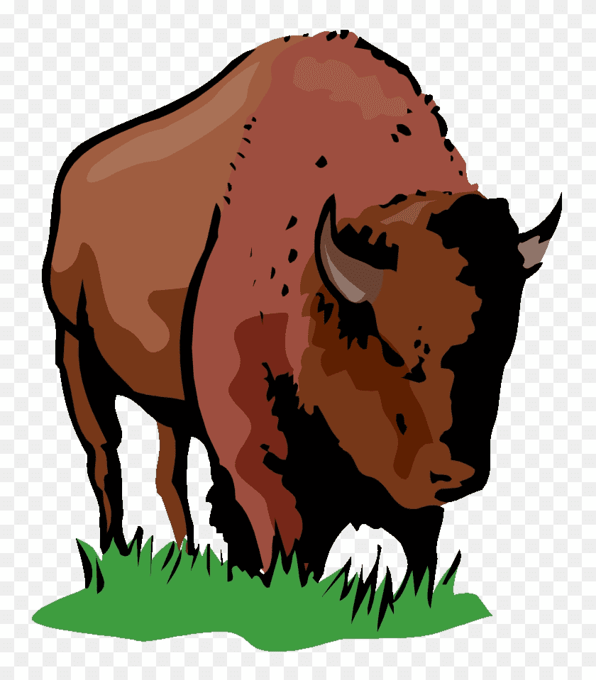 Clipart of Bison