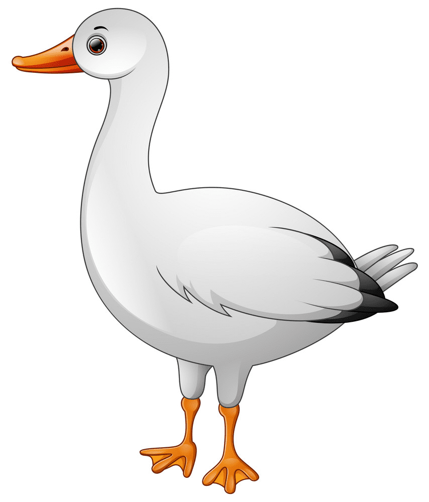 Cute Goose Clipart