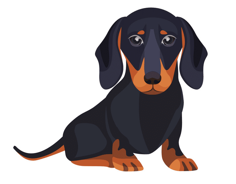 Dachshund Clipart Free Pictures
