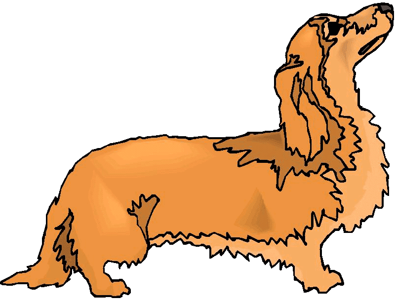 Dachshund Clipart Picture