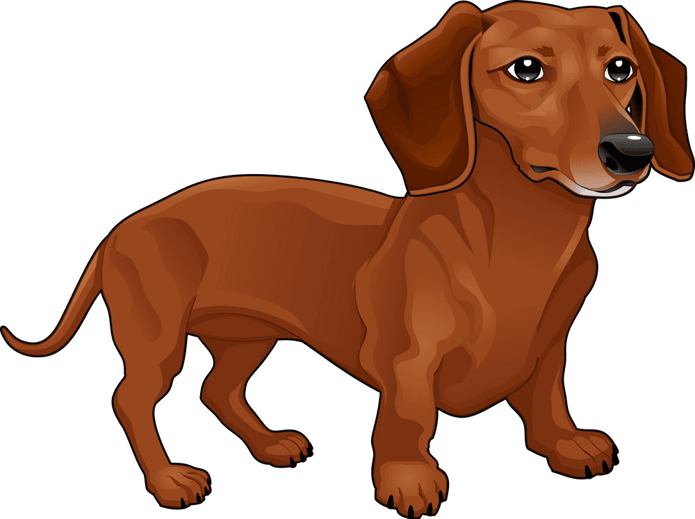 Dachshund Clipart Png Download