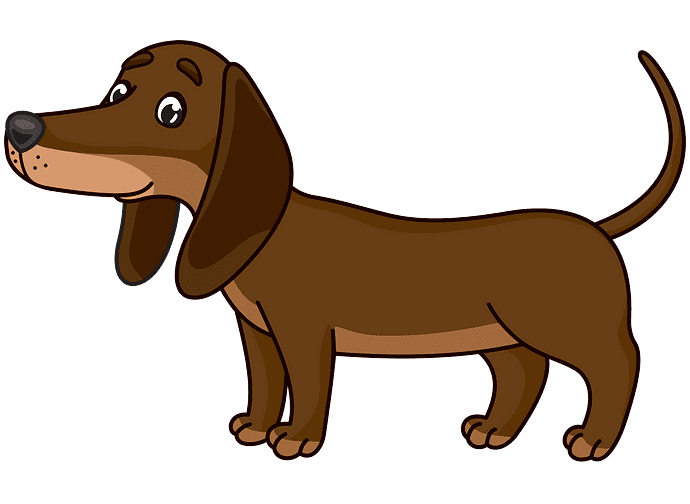 Dachshund Clipart Png For Free