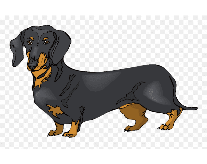 Dachshund Clipart Png Free