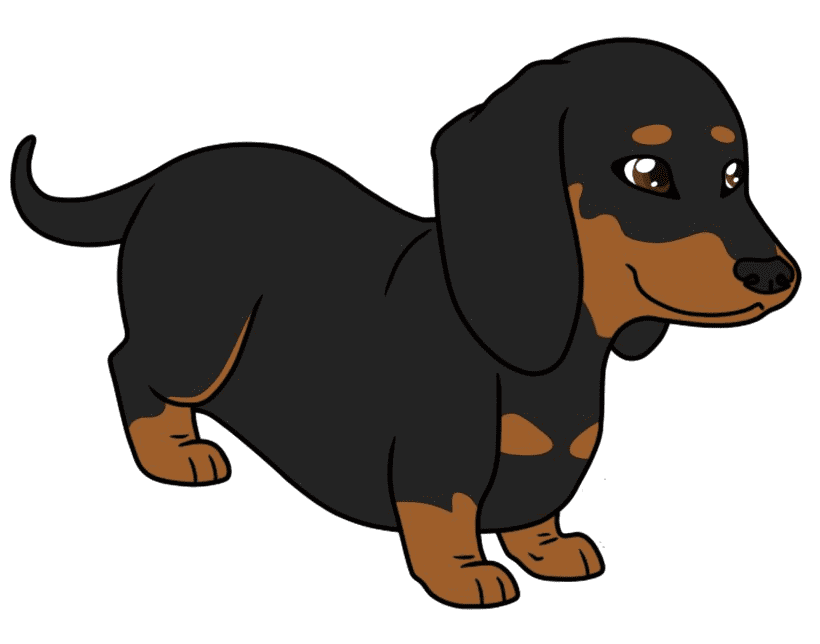 Dachshund Clipart Png Images