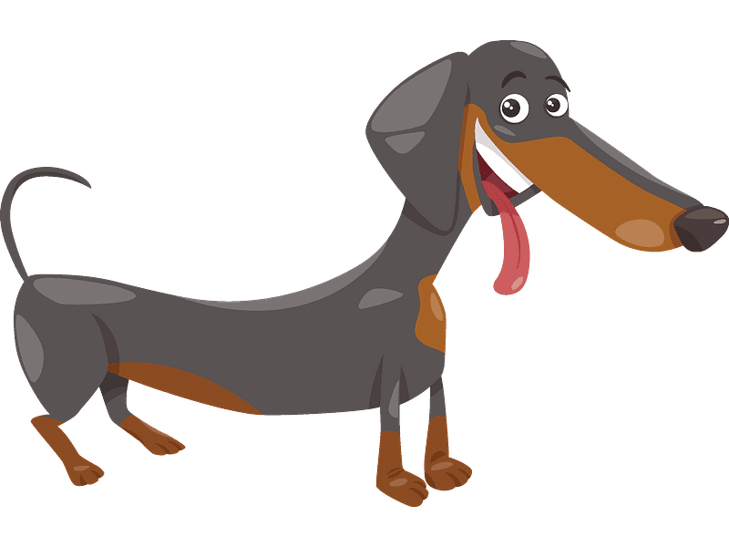 Dachshund Clipart Transparent Pictures