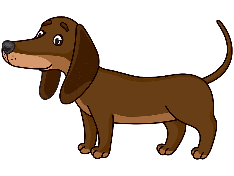 Dachshund Clipart Transparent Png