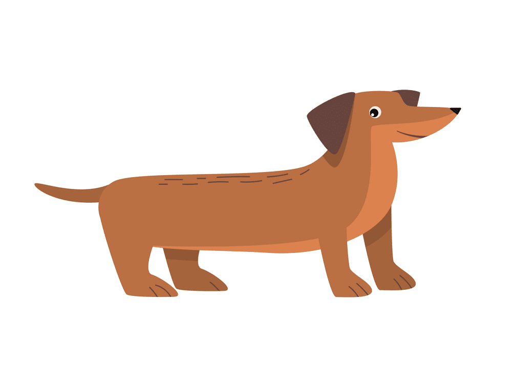 Dachshund Dog Clipart For Free