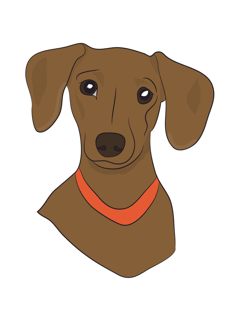Dachshund Dog Clipart Image