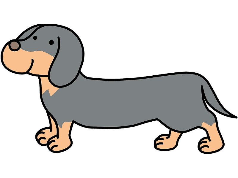 Dachshund Dog Clipart Transparent Background