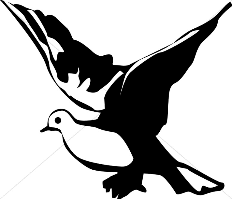 Dove Clipart Black and White Photo
