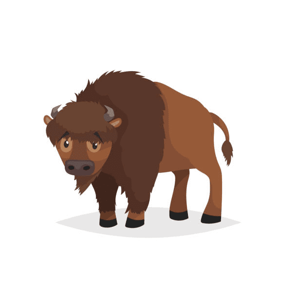 Free Bison Clipart Image
