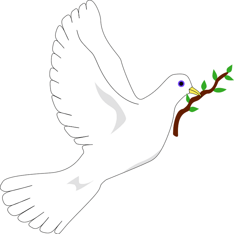 Free Dove Clipart Transparent