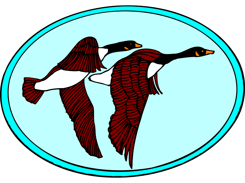 Geese Clipart Transparent