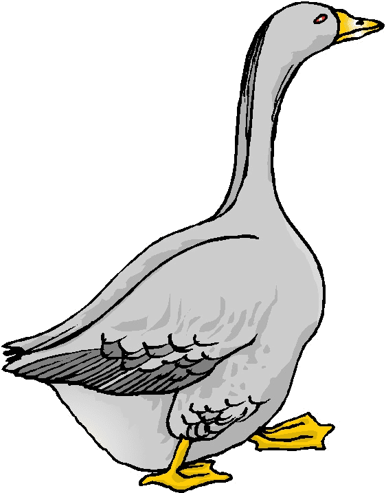 Goose Clipart Free