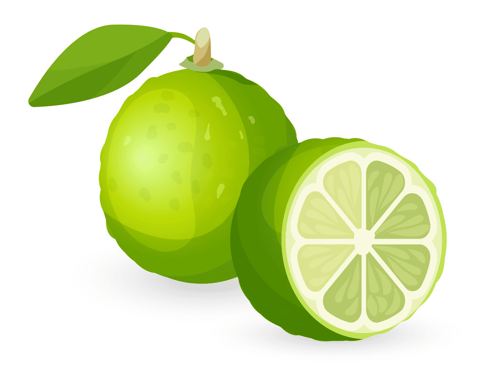 Lime Clipart Free Picture
