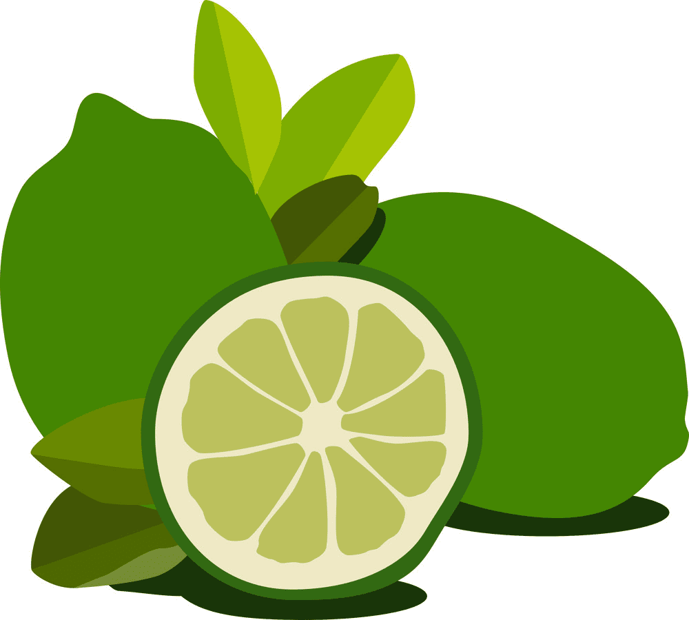 Lime Clipart Pictures
