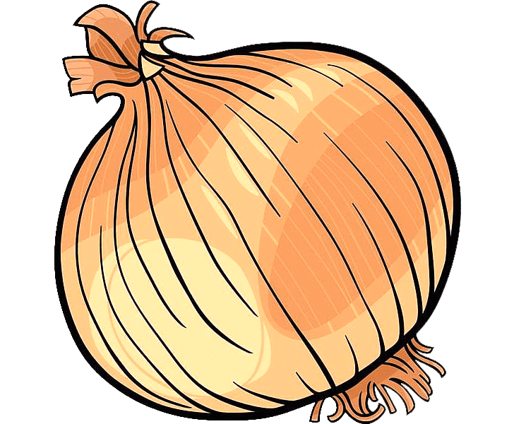 Onion Clipart Download