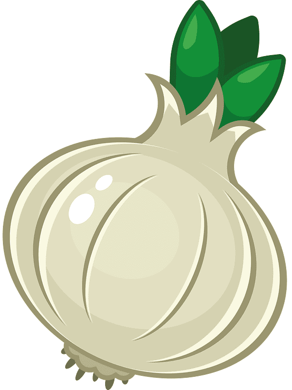 Onion Clipart Free Pictures