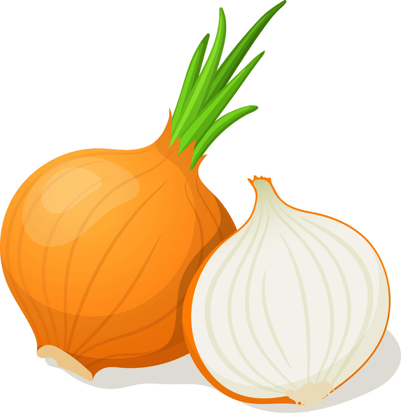Onion Clipart Png Download