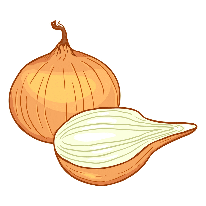 Onion Clipart Png For Free
